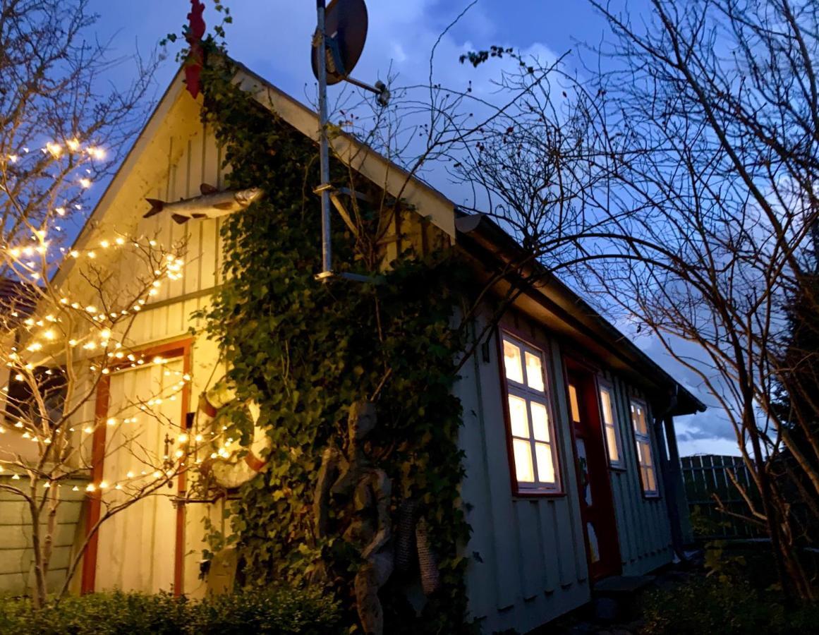 Kleines Haus Am Hafen - Ruhig Und Gruen Am Ortsrand Prerow Exterior foto